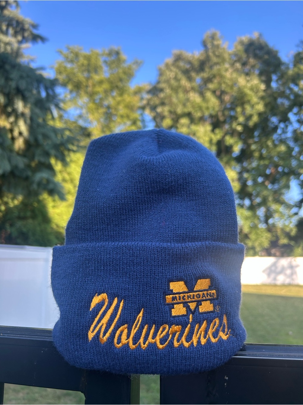 Michigan Beanie